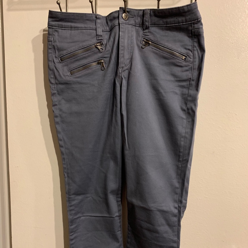 Blue Gray Joes Skinny Jeans